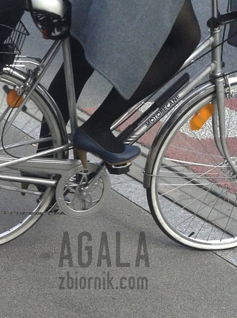 20150923_14cz.jpg - AGALA