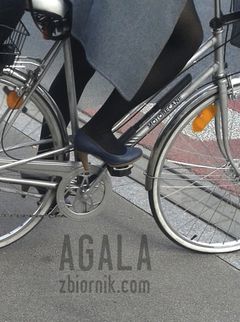 20150923_14cz.jpg