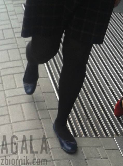 20150923_12cz.jpg - AGALA