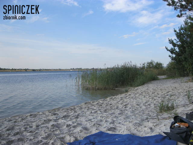 IMG_6076.JPG - spiniczek