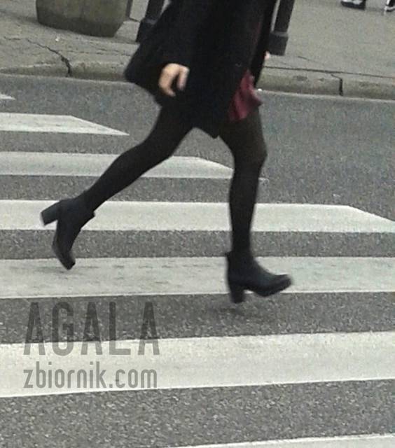 20150924_9cz.jpg - AGALA