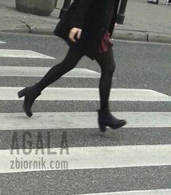 20150924_9cz.jpg