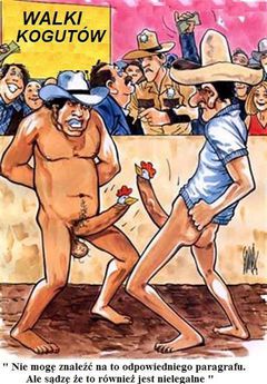 Walki kogutów