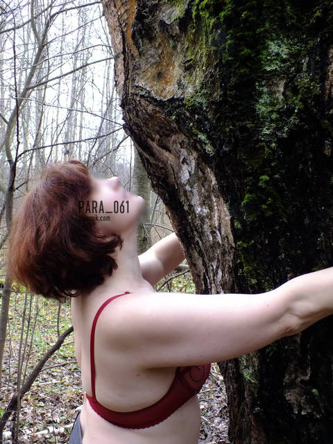 DSCF2634_!.jpg - para_061