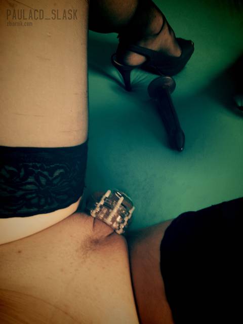 IMG_20150929_231642.jpg - paulacd_slask