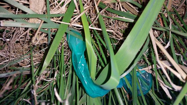 śmieciarze:).jpg - goldstars