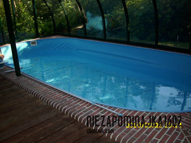 DSCI0763.JPG - Niezapominajka1602