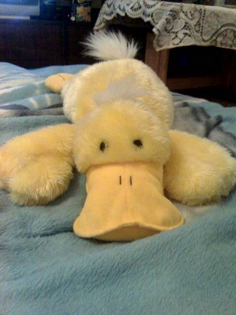 jaro - emancypator36