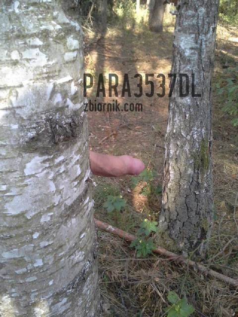 ROZKOSZNE DRZEWKO ;) - para3537dl