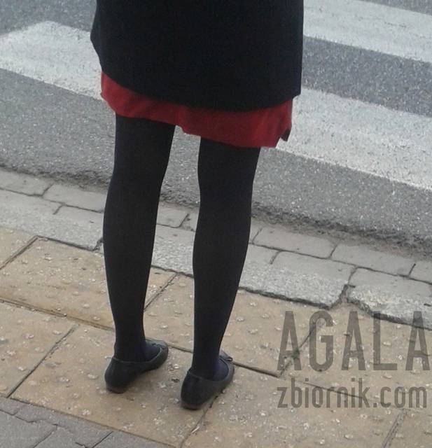 20151006_8cz.jpg - AGALA