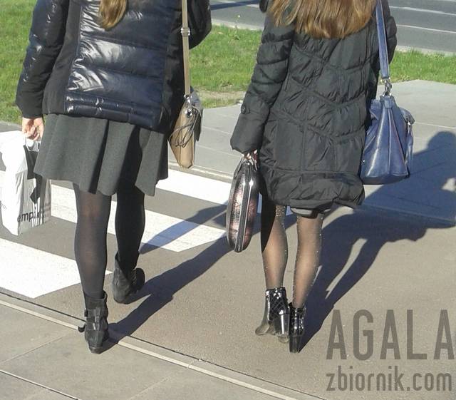 20151009_7cz.jpg - AGALA
