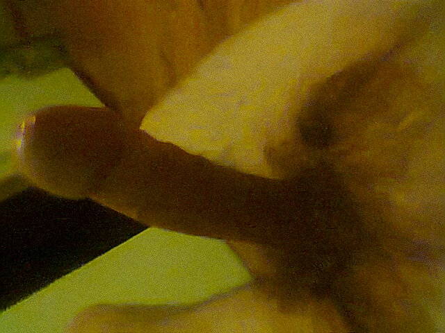 Zdjęcie0152.jpg - Poter1