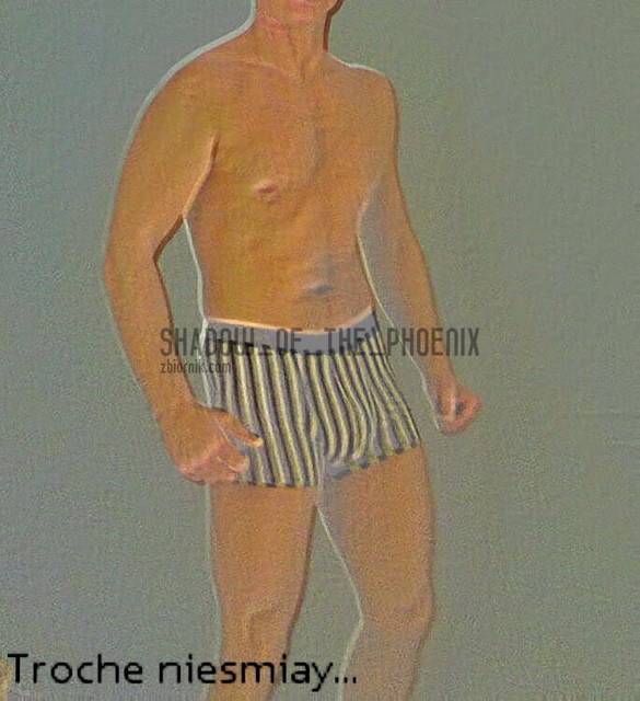 Foto1.jpg - Shadow_of_the_Phoenix