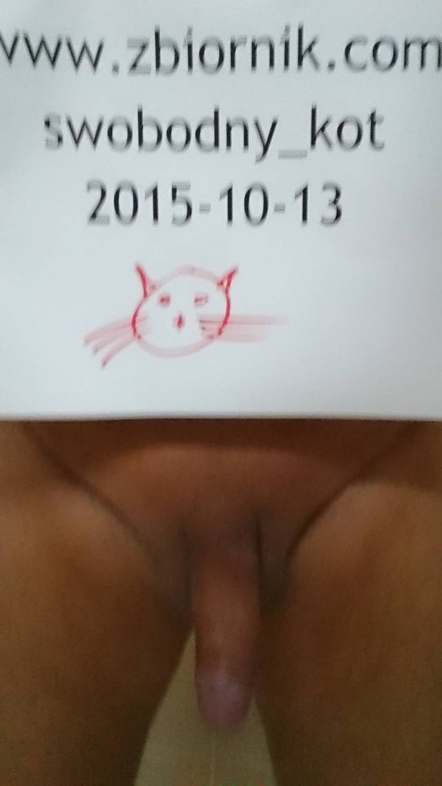 swobodny_kot