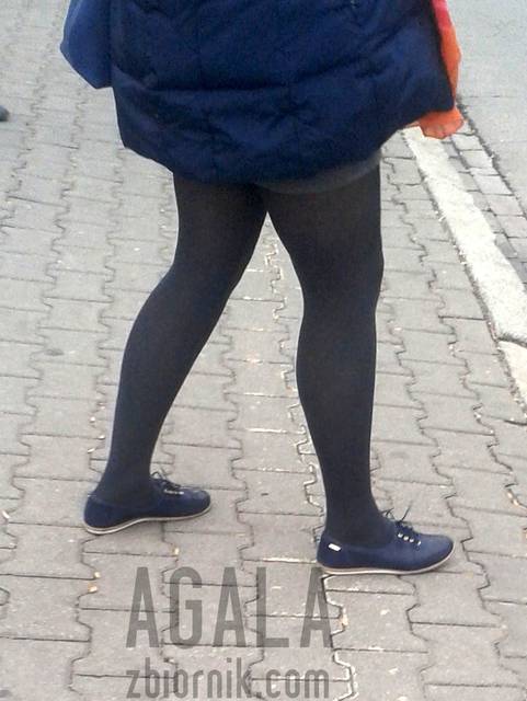 20151014_12v.jpg - AGALA