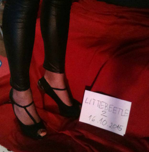 fota.jpg - littlebeetle2