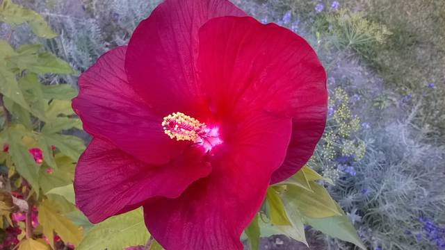 ostatni.... - wodnik50