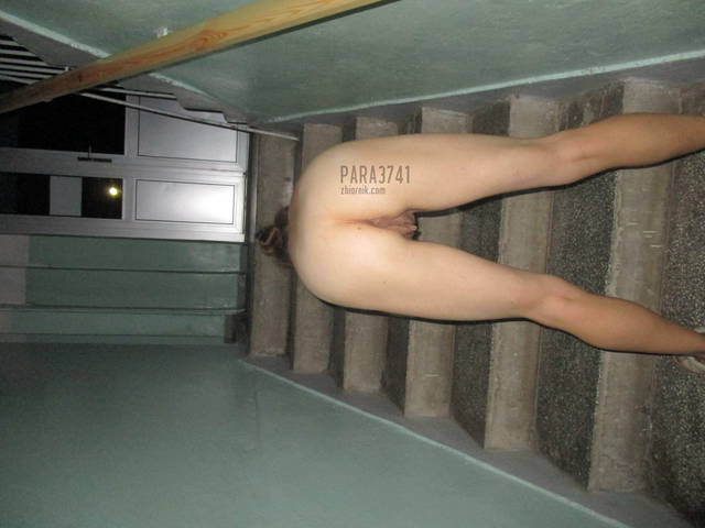 IMG_0260.JPG - para3741