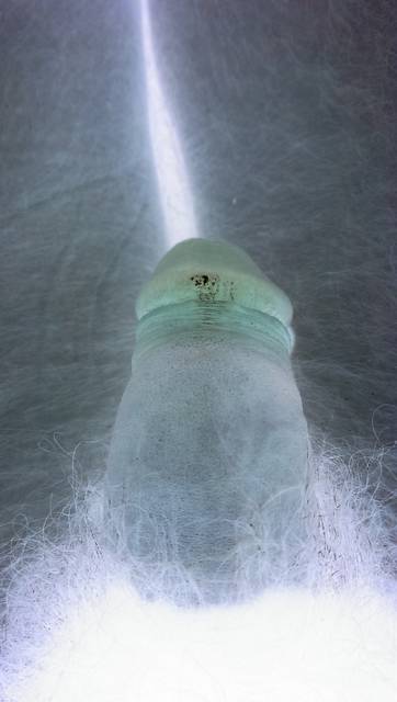 Negative - cichojebek