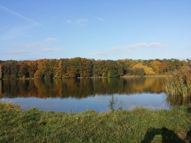 Rusalka Poznań  - keram29