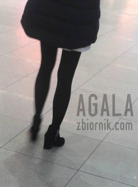 20151025_3cz.jpg - AGALA