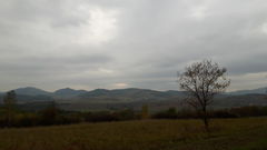 20151025_145049.jpg