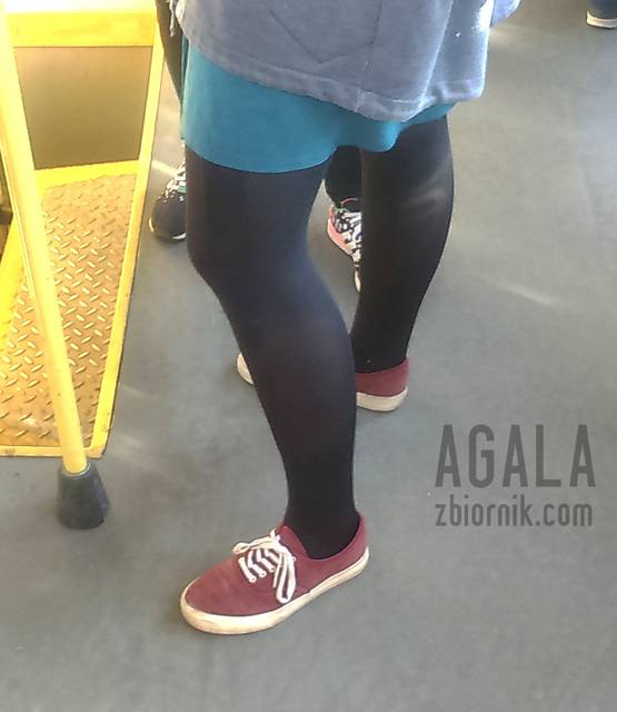 DSC_2766cz.jpg - AGALA