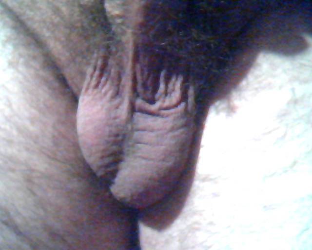 Picture 32.jpg - sapoo