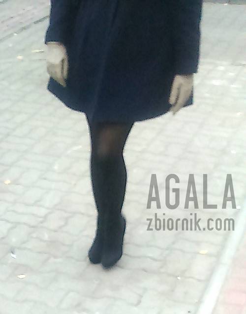 DSC_2985cz.jpg - AGALA