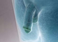 2015-11-05 19.02.03.jpg