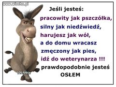 17cac8097be0326337f404e53793b3b5.jpg