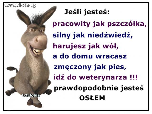 basiafrezja