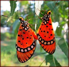 SĄ  PIERWSZE OZNAKI ZBLIŻENIA