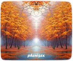 idąc jesienną aleją szukam ciebie mój przyjacielu