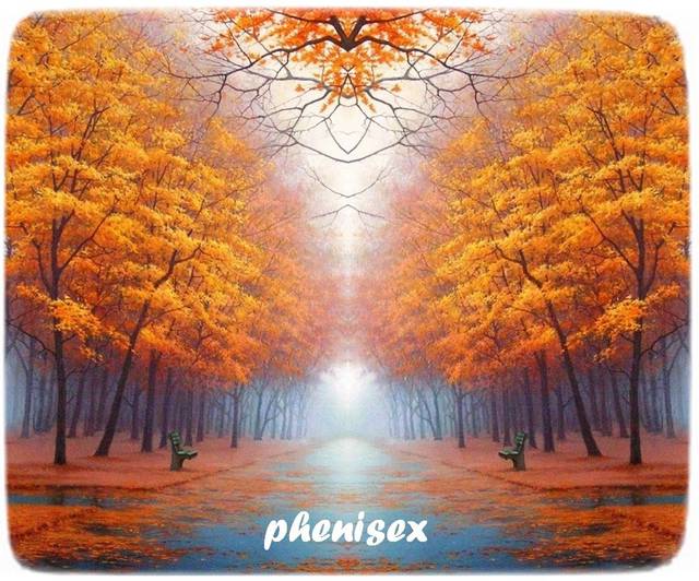 idąc jesienną aleją szukam ciebie mój przyjacielu - phenisex