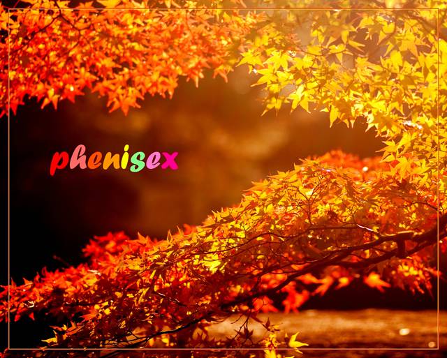 kolory jesieni - phenisex