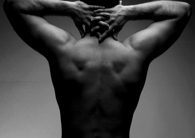 bod23.JPG - recobane