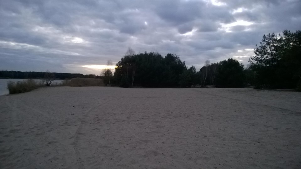 WP_20151114_052.jpg - slonik84