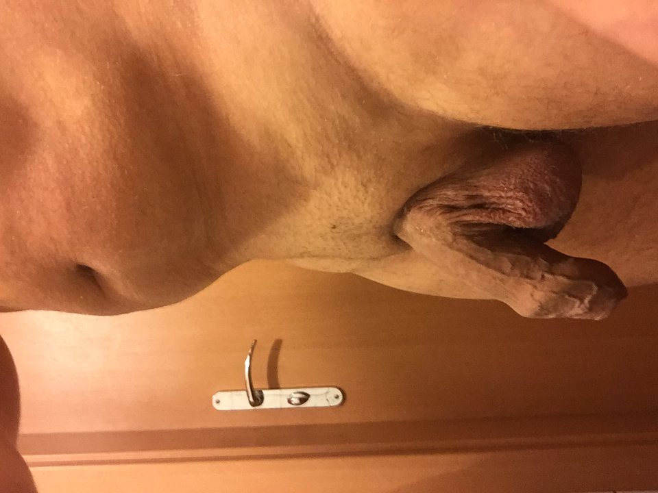 image.jpeg - wojta34