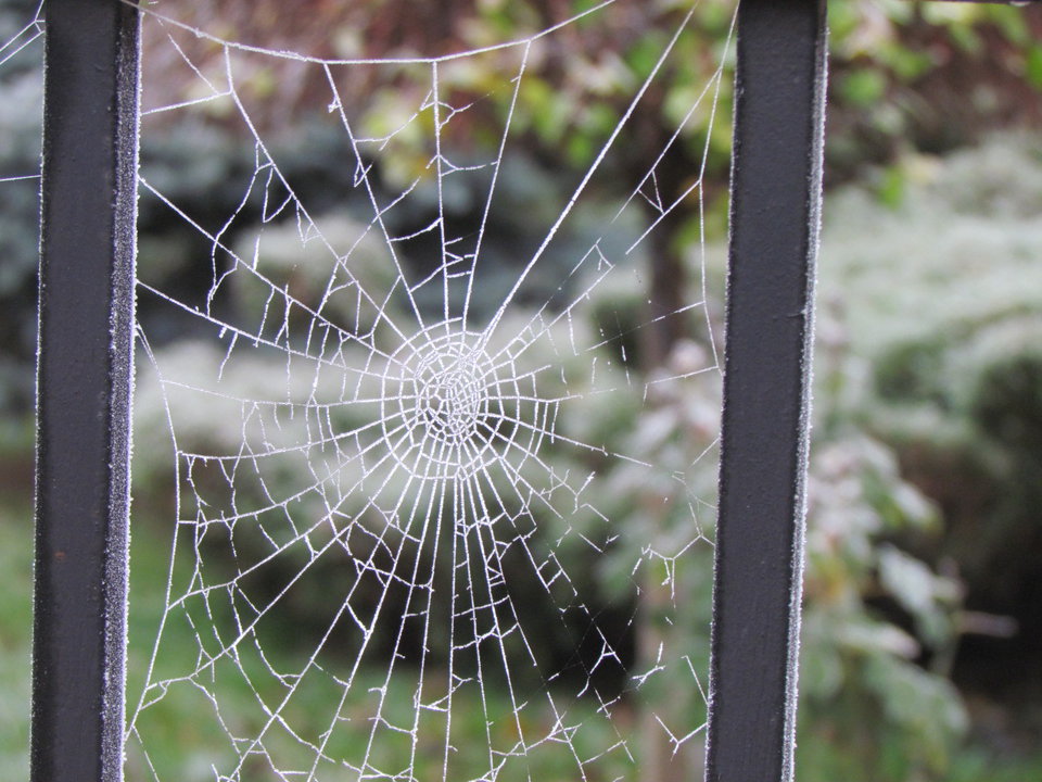 biala....... - wodnik50