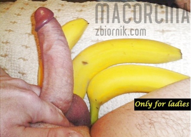 Macorcina