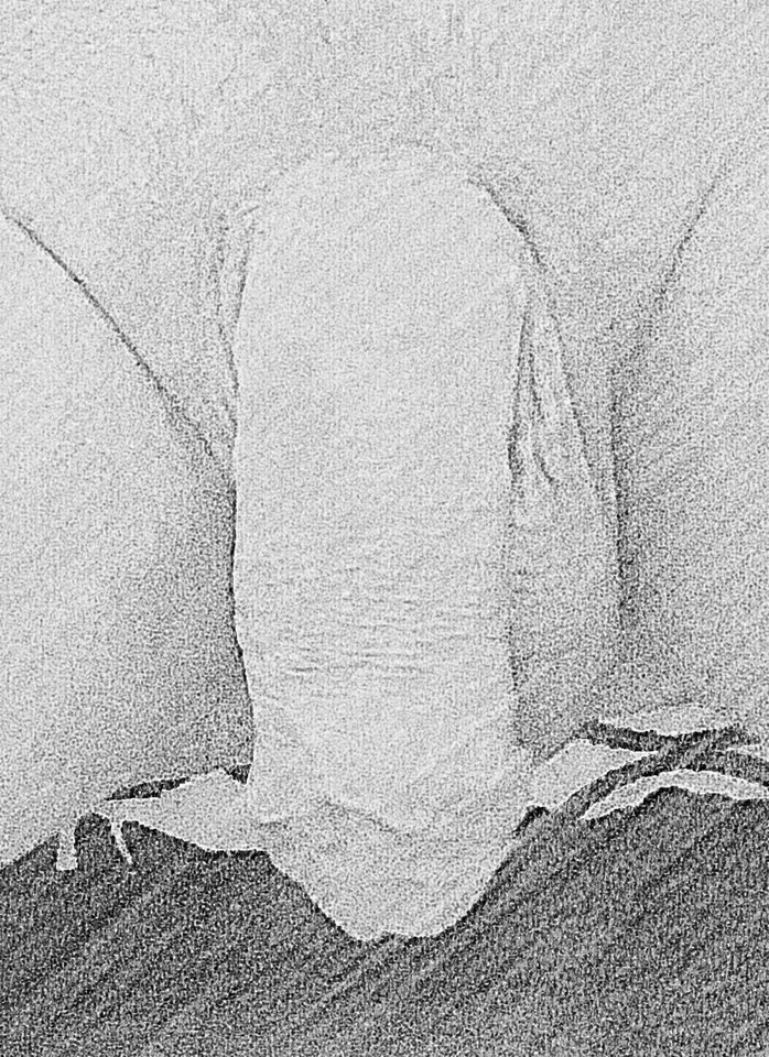 2015-11-29 22.09.36.jpg - PAWEL4442