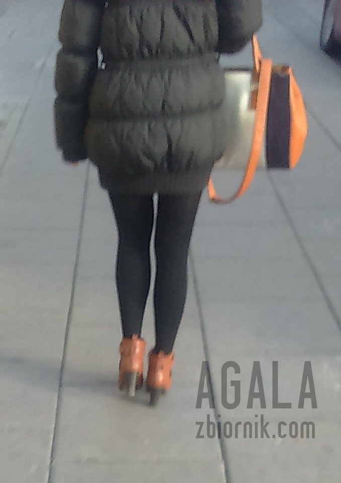 DSC_3387cz.jpg - AGALA