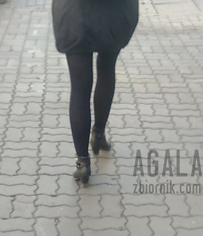 DSC_3468cz.jpg - AGALA