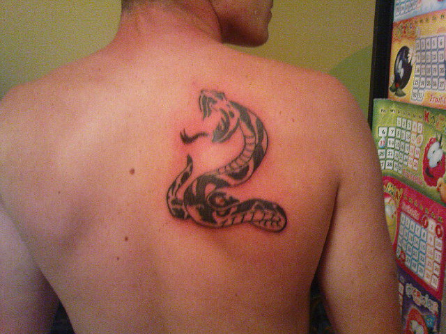 12460106450_0.jpg - vity