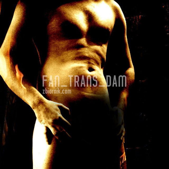 Fan_Trans_Dam