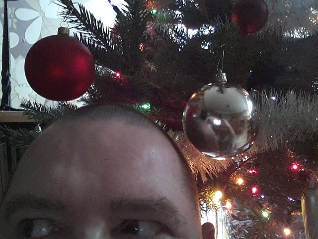 wasp_choinkowo.jpg - Seppo