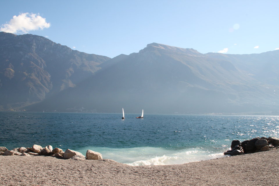 IMG_6554.JPG - anthanatos