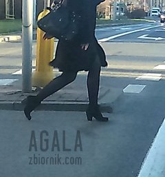 DSC_3751cz.jpg