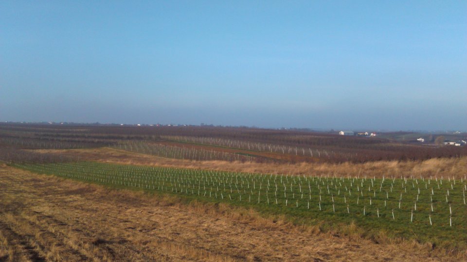 DSC_0016_1.JPG - Sandomierski_widok